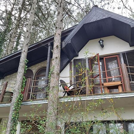 Vinci Guesthouse Bajka חדר תמונה